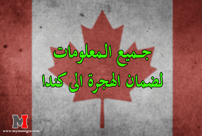 الهجرة الى كندا : جميع المعلومات الضرورية لضمان الهجرة الى كندا بسهولة