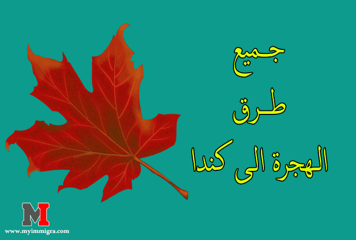 جميع برامج الهجرة الى كندا | شرح مفصل لكافة برامج الهجرة الكندية السهلة