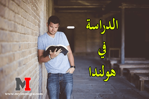 الدراسة في هولندا 2020-2021 | أهم المعلومات حول الدراسة في هولندا