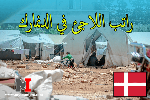 راتب اللاجئ في الدنمارك