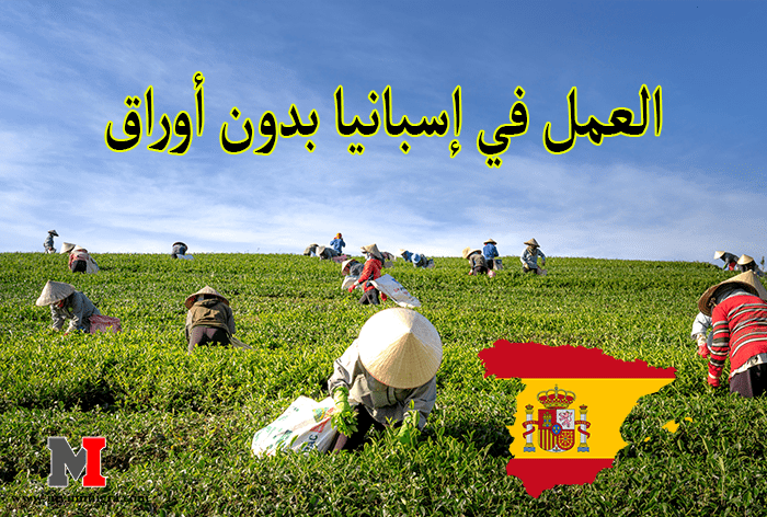 العمل في إسبانيا بدون أوراق الإقامة للرجال او للنساء