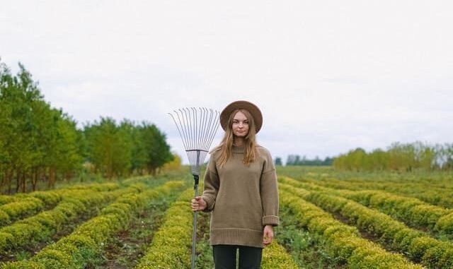 عقود عمل موسمية في اسبانيا