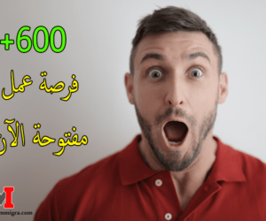 الهجرة إلى فنلندا 2023 .. دائرة الهجرة الفنلندية