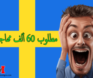 دائرة الهجرة السويدية قامت بإطلاق برنامج تأشيرة البحث عن عقود العمل للأجانب من خارج الاتحاد الأوروبي في السويد 2023