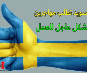 درائرة مصلحة الهجرة السويدية تطلب مهاجرين بشكل عاجل للعمل في مختلف الوظائف