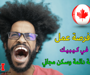 عقود عمل في كيبيك