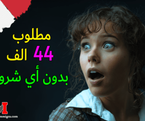 قانون الهجرة في ايطاليا