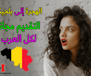 الهجرة إلى بلجيكا .. التقديم مجانا لكل العرب ! موقع وزارة دائرة الهجرة البلجيكية