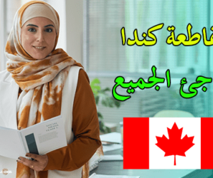 المهن المطلوبة في نيو برونزويك | مقاطعة كندا تفاجئ الجميع المهن-المطلوبة-في-نيو-برونزويك