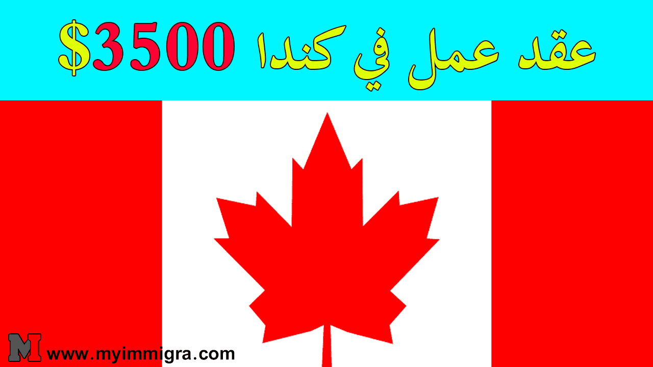 عقد عمل في كندا $3500 | فرص عمل في كندا باللغة العربية