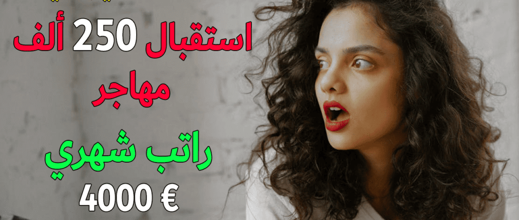 فرص-الهجرة-الى-ايرلندا-2025-مفتوحة-للعمل-وإقامة-ورواتب-تصل-إلى-4000-يورو-شهريًا-بطريقة-مجانية.