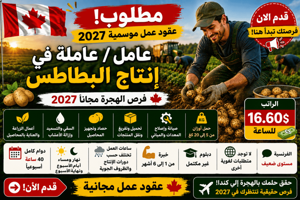 وظيفة موسمية في كندا – عامل / عاملة في إنتاج البطاطس