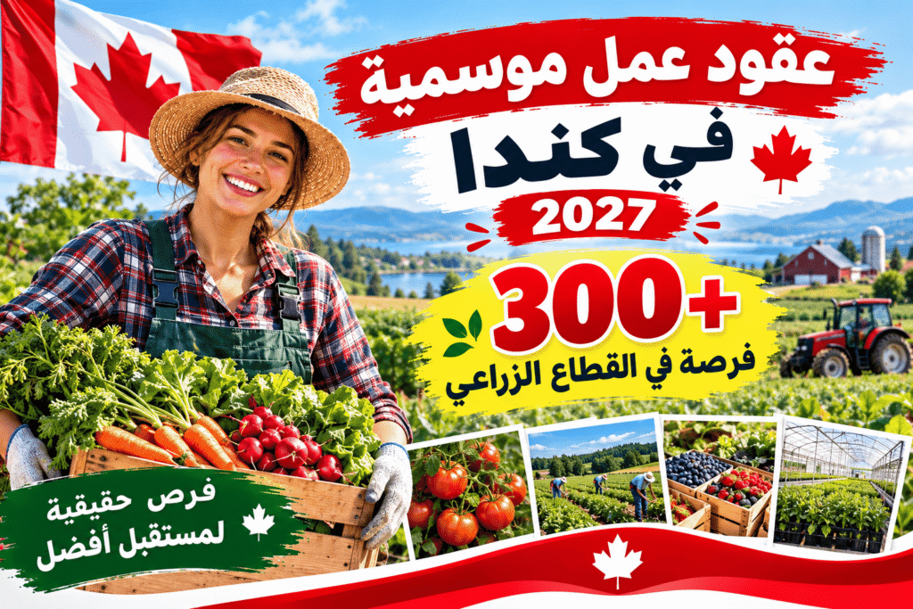 عقود عمل موسمية في كندا 2027 – أكثر من 300 فرصة في القطاع الفلاحي والزراعي